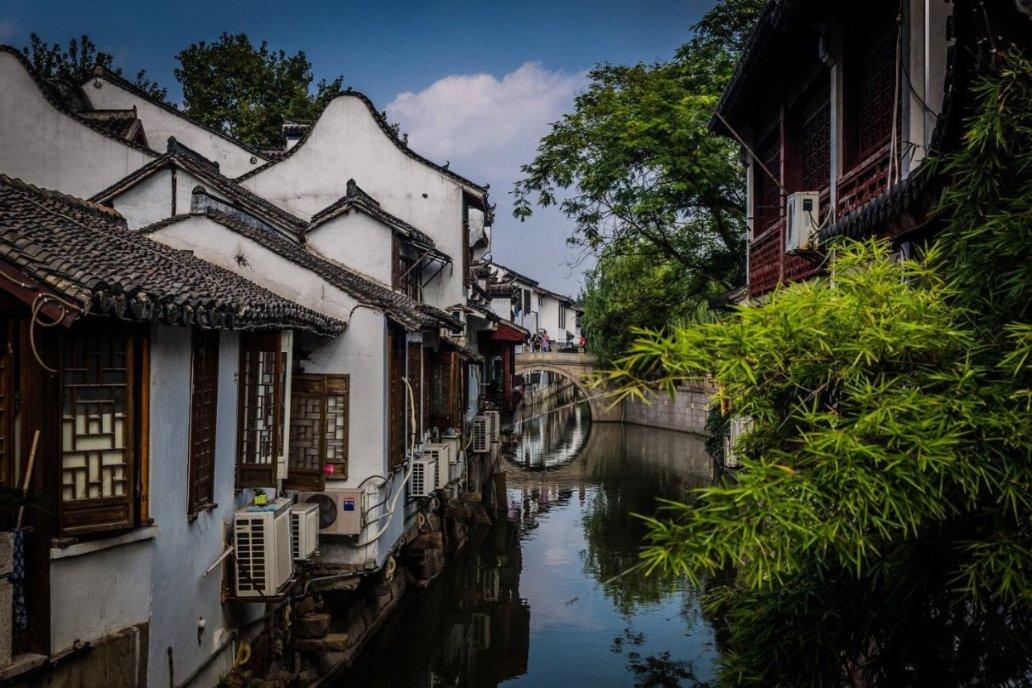僵尸女友爱爬树
